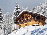 Chalet Plein Sud 1000