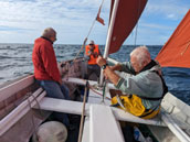 Les Amis de la Mer