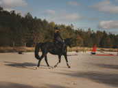 Gîte Equestre du Chêne Rond