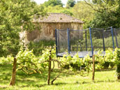 Domaine Argia