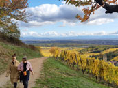 La Maison des Vignes