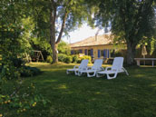 La maison dans les vignes